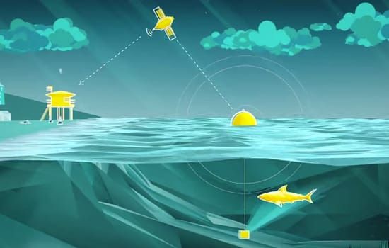 澳大利亞電信公司Optus發明鯊魚警告浮標，解決國人海灘戲水被攻擊的問題，提昇品牌好感度