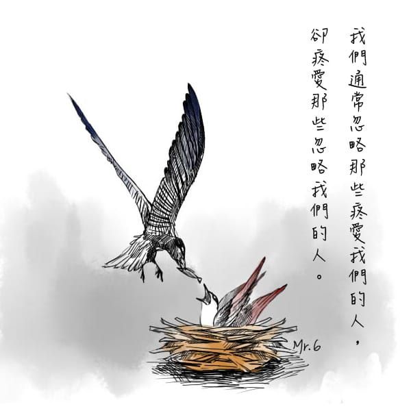 別追了，回頭關心真正愛你的人吧！