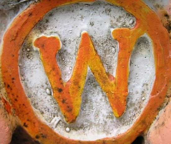 網路名人的「Ｗ」心情，為何歡喜，為何憂？