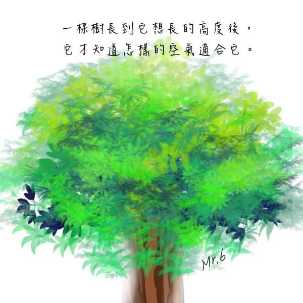 人的高度，取決於態度。