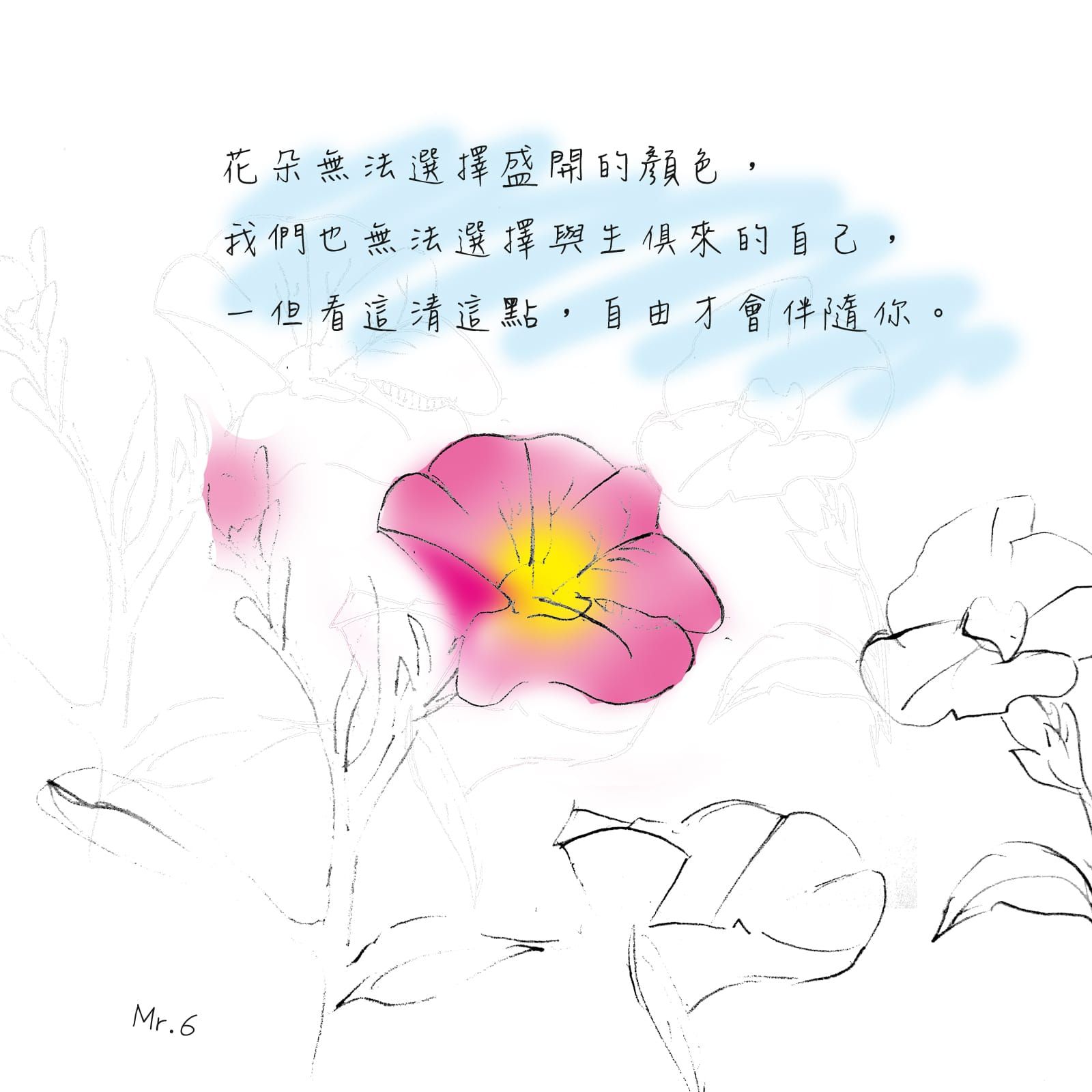 別去羨慕別人所擁有的，珍惜自己所擁有的。