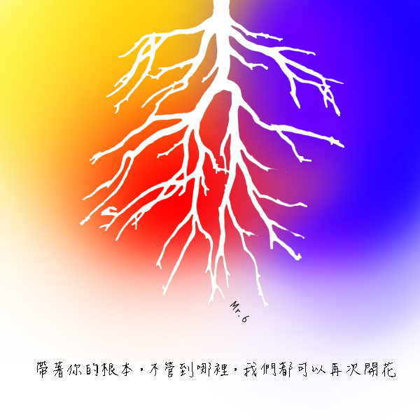 靜靜的等待，開花結果的一天。