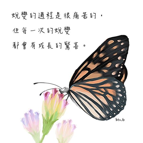 蛻變是美麗的代價！