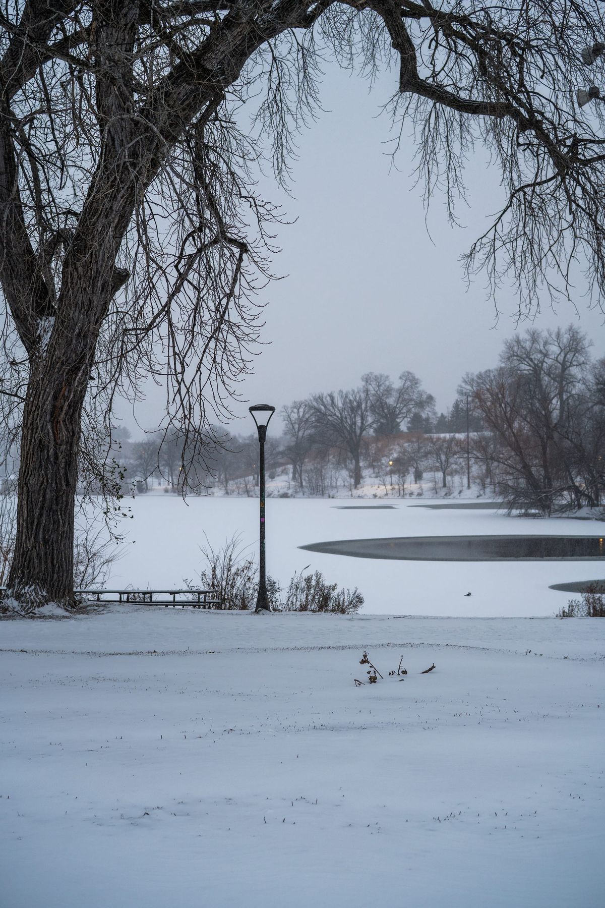 [GR01.02] streetlights at sunset, before the lake finished freezing