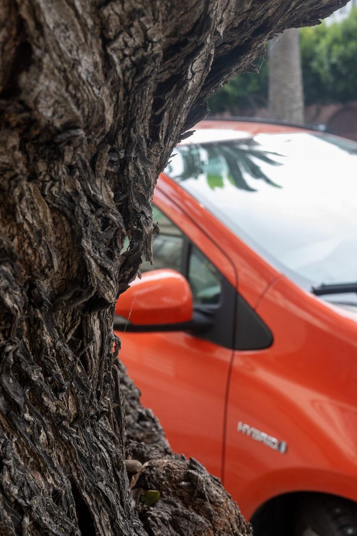 My most unpopular idea