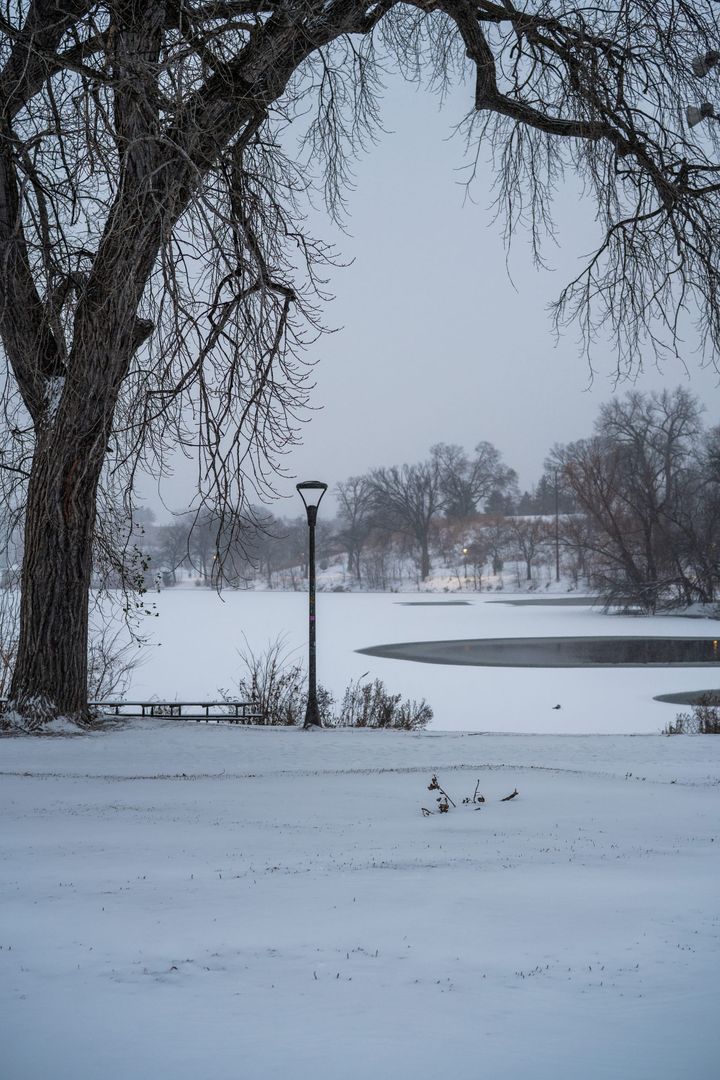 [GR01.02] streetlights at sunset, before the lake finished freezing