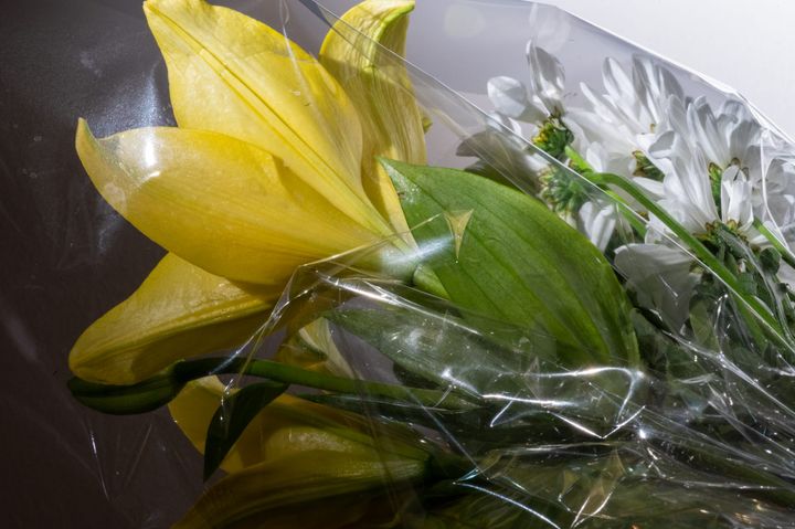 [GR02.08] lilies and plastic