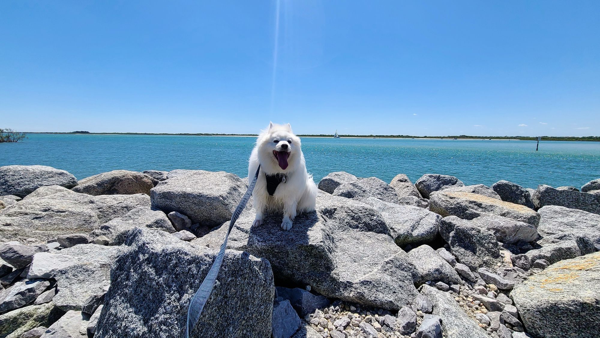 The Best Day in Daytona