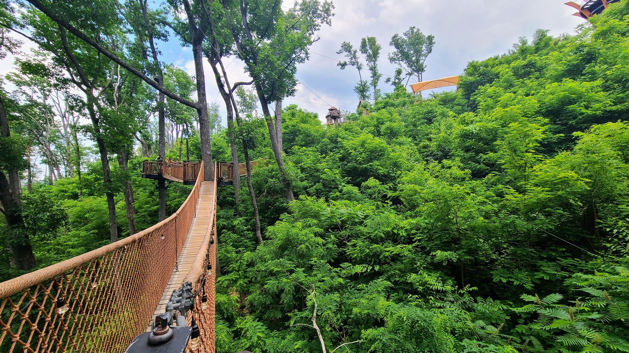 Celebrating in the Smokies: Gatlinburg