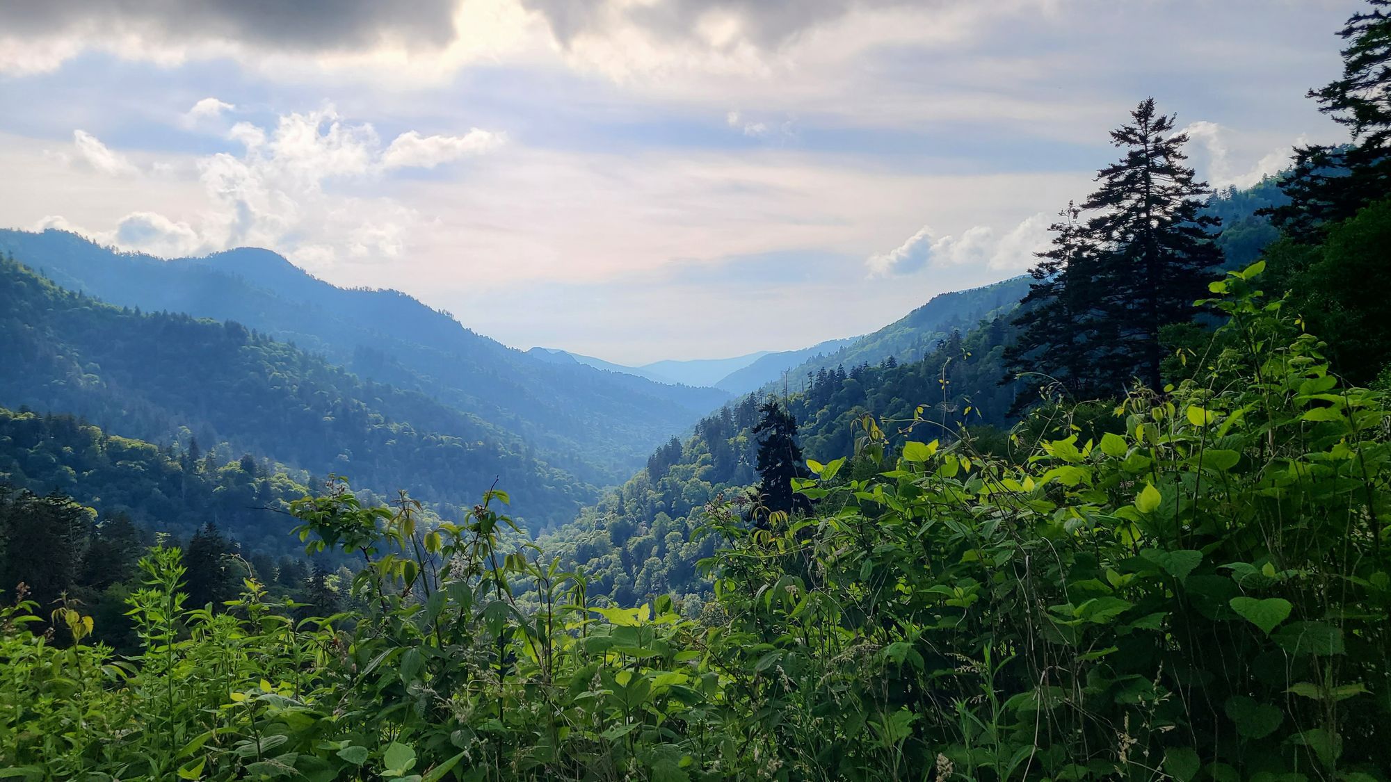 Scenic Drives: The Best Way to See the Smokies?