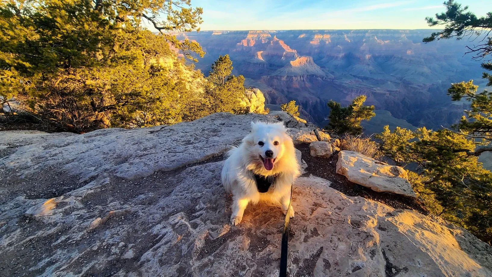 The Grand Canyon: South Rim and Desert View