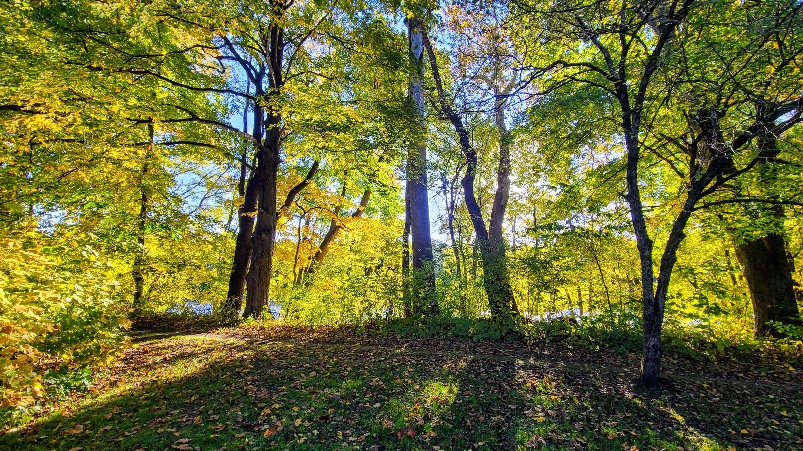 Campground Review: Buckaloons Recreation Area, Allegheny National Forest