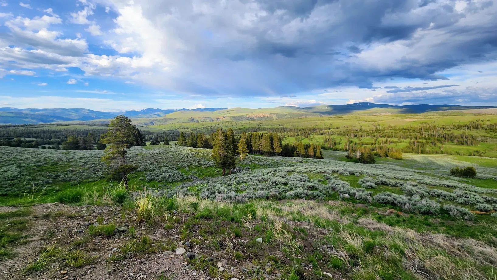 Lost in Yellowstone!