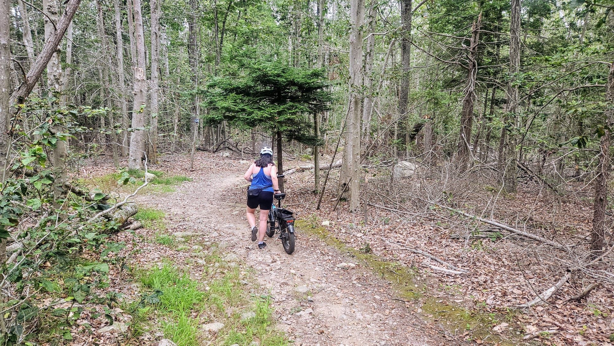 Mistakes were made! 100 miles of ebiking