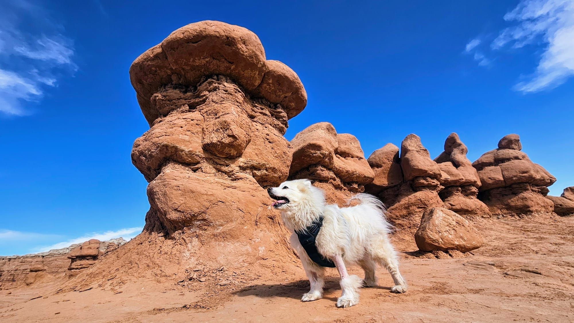 The Utah Redemption Tour: Meeting the Goblins