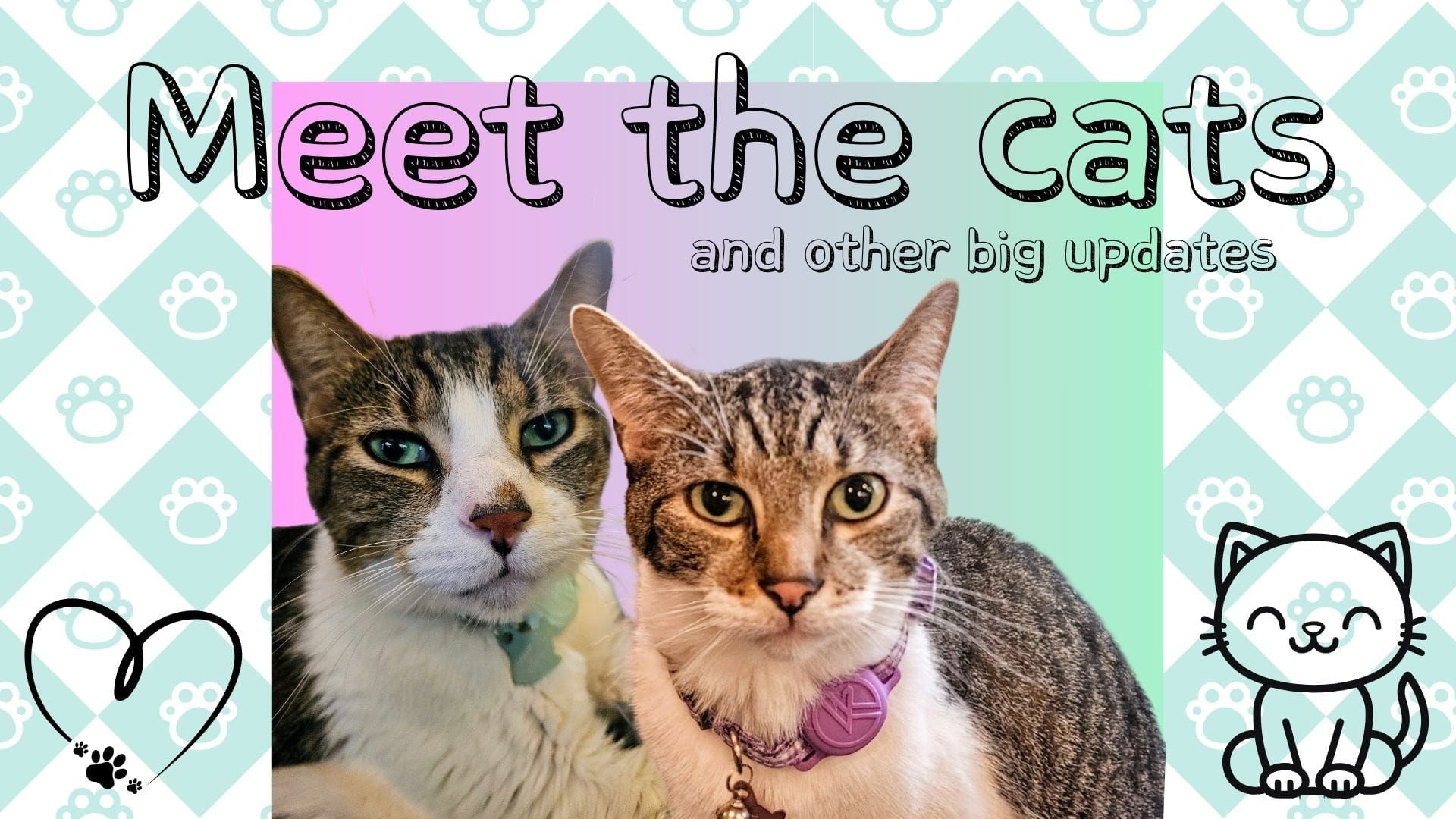 Livestream TOMORROW: Meet the Cats (and Other Big Updates)