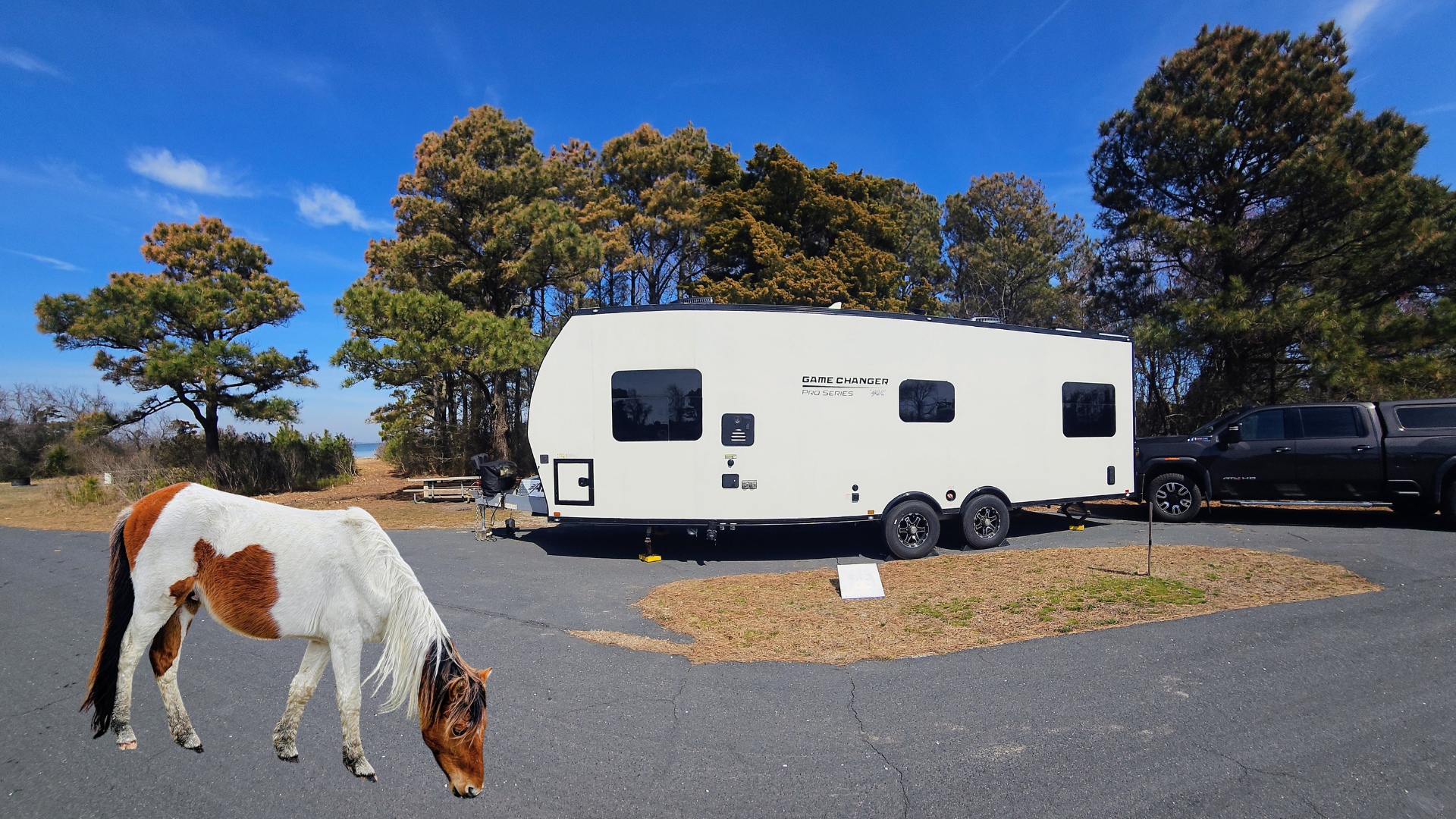 Returning to Assateague Island 9 years later