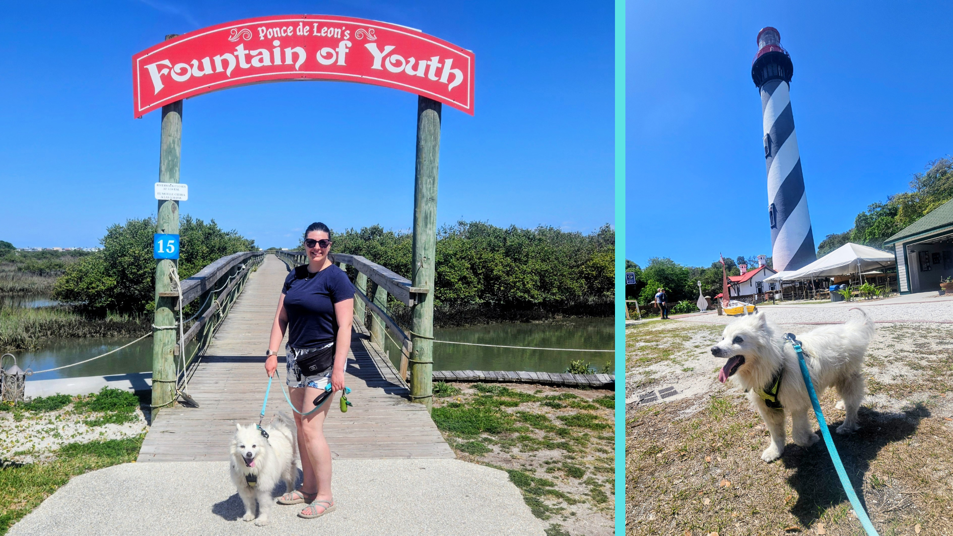 Dog-friendly St. Augustine