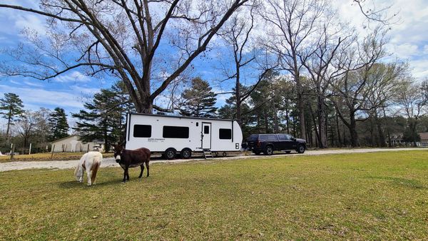 Our Second Harvest Host Stay. No Ditches This Time!