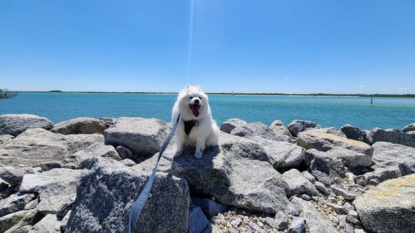 The Best Day in Daytona