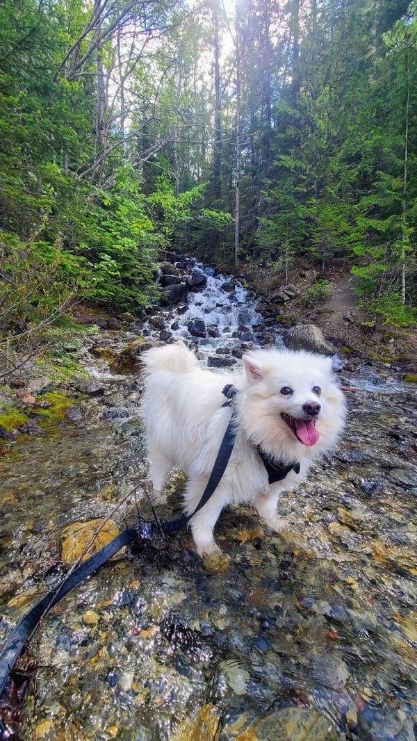 8 fun activities to do in the Glacier area...that aren't in the National Park