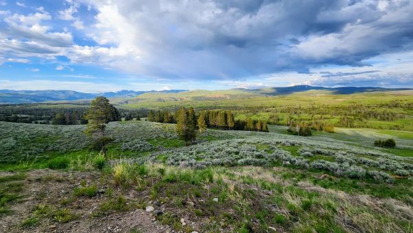 Lost in Yellowstone!