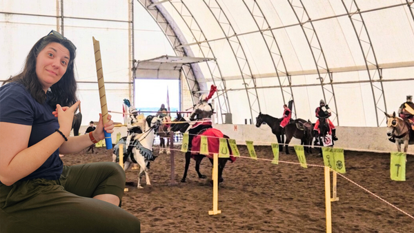 The surprise jousting tournament (HH/BW Challenge Series)