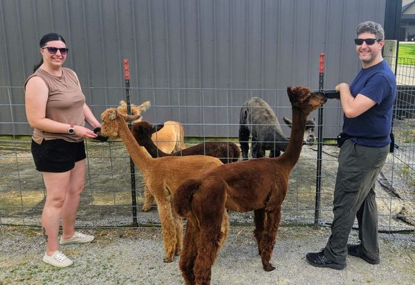 We crossed state borders for this alpaca farm (HH/BW Challenge Series)
