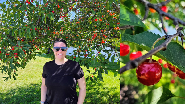 A Very Merry Cherry Fest in Traverse City, MI