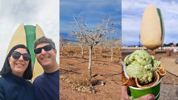 We went nuts on Anthony's birthday