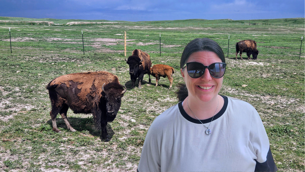 We camped on a bison ranch in Wyoming!
