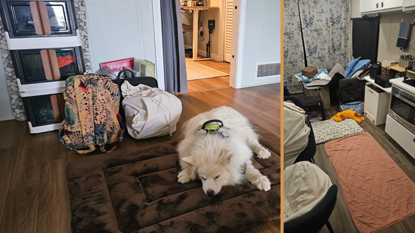 This was not the Thanksgiving post we thought we would be sharing