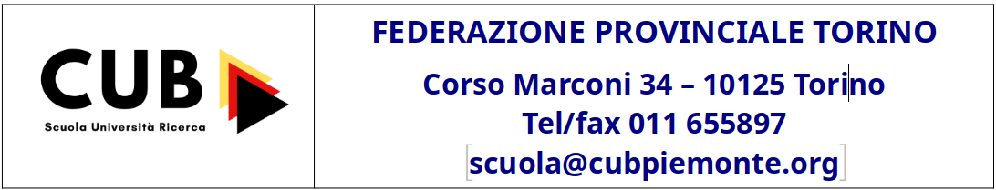 Comunicato Stampa CUB SUR