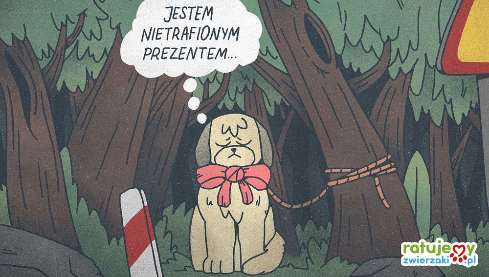 Zwierzę to nie prezent! Wywiad z Magdą Kordas z Fundacji Mikropsy