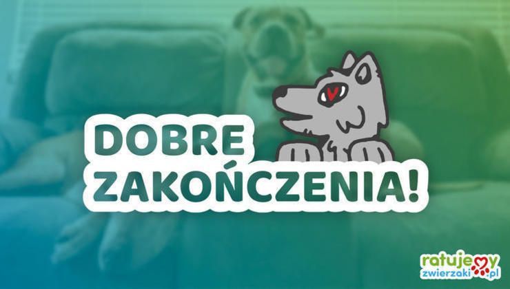 Ich życie to nasz wspólny sukces! Zobacz, jak zmieniło się życie bezdomniaków!