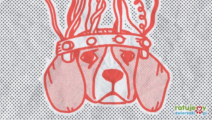 Dzień Praw Zwierząt - krótka historia