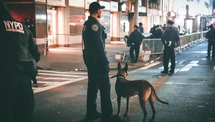 Psy i konie "na służbie" doczekały się tak potrzebnej im zmiany przepisów!