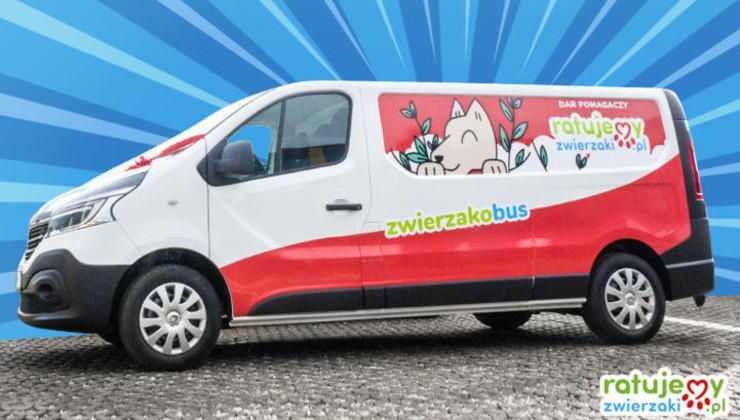 Zwierzakobus - co to za zwierz?