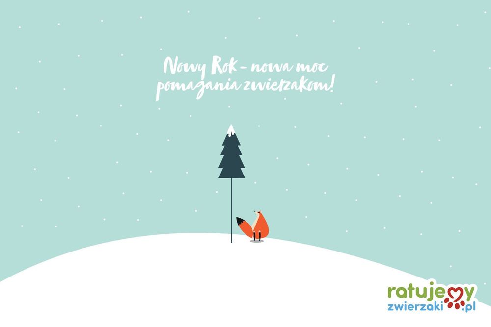 Zobacz, ile dobrego razem zrobiliśmy w 2021 roku!