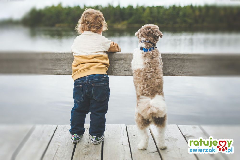 Dziecko i pies - czy da się to ogarnąć?
