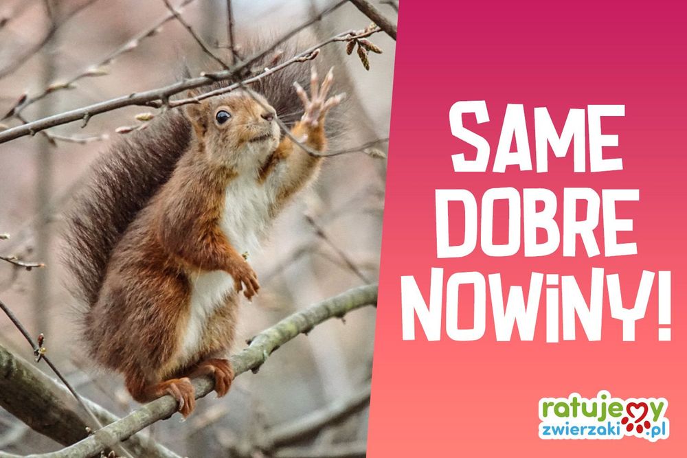 Kolejna porcja dobrych wieści! Sprawdź, czyje życie zmieniło się na lepsze