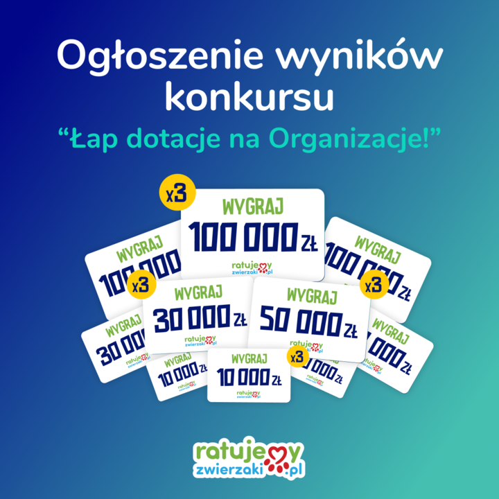Czy to ten moment, na który wszyscy czekali? Tak! Sprawdź, które Organizacje otrzymają od nas dotacje na ratowanie zwierząt!