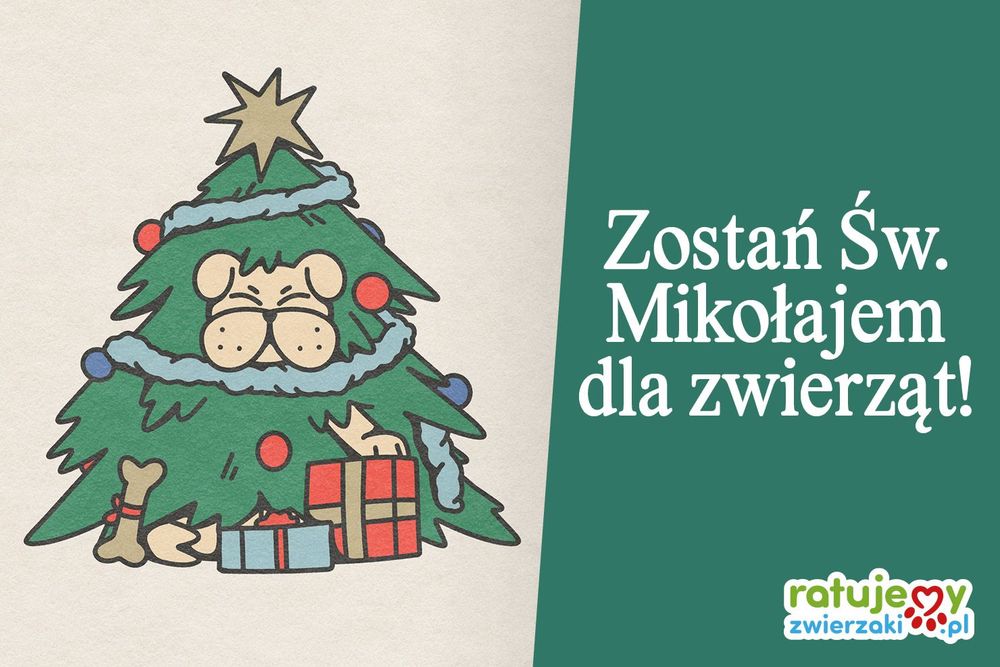 Mikołajkowi Wirtualni Opiekunowie poszukiwani! Zróbmy prezent zwierzakom