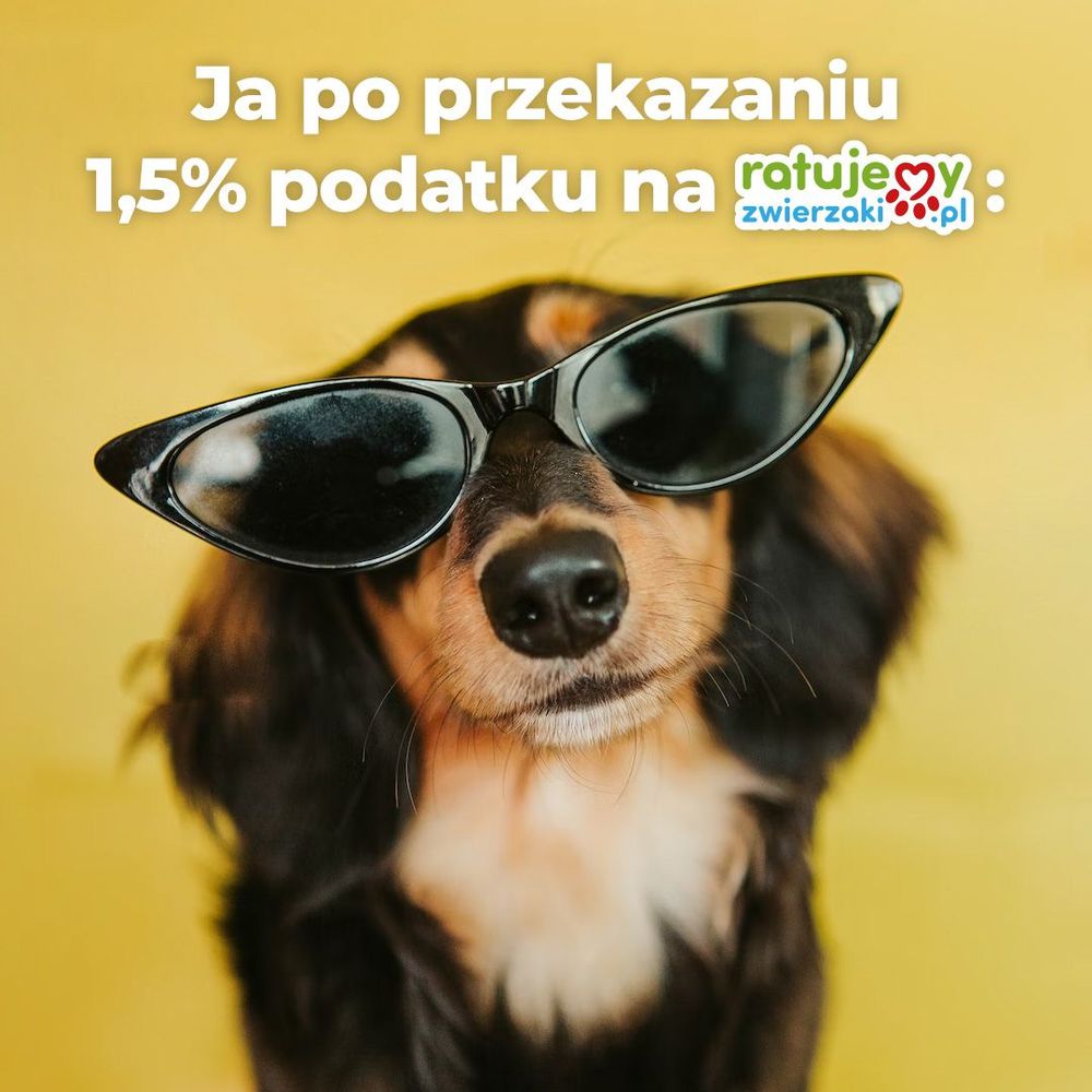 Przekaż swoje 1,5 % podatku na potrzebujące zwierzęta!