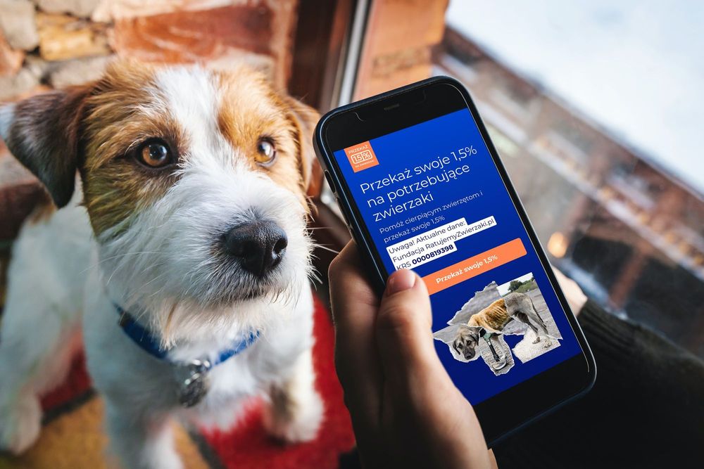 Jak odliczyć darowiznę od podatku? (PIT/O)