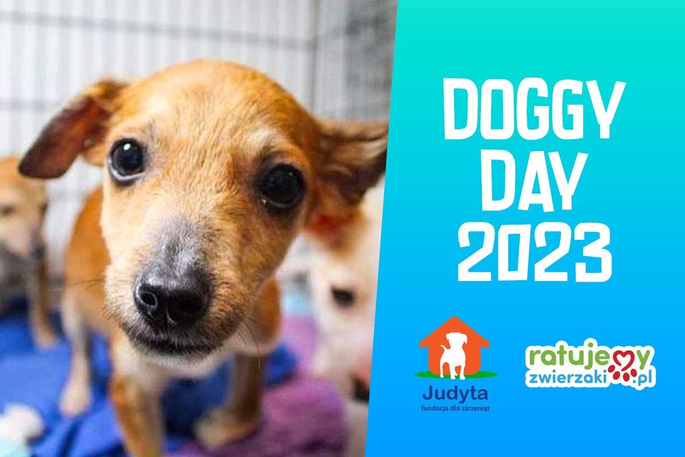 RatujemyZwierzaki.pl na DOGGY DAY 2023 w Gdańsku