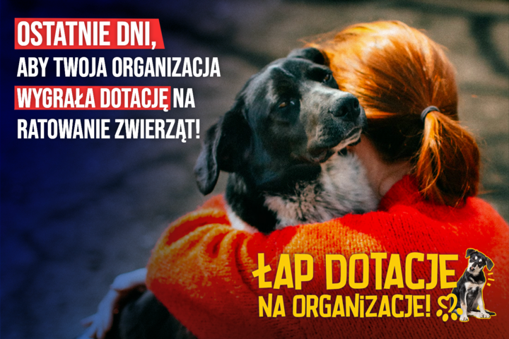 Ostatnie dni konkursu "Łap dotacje na Organizacje!"