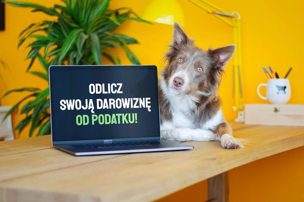 Jak odliczyć darowiznę od podatku? (PIT/O)