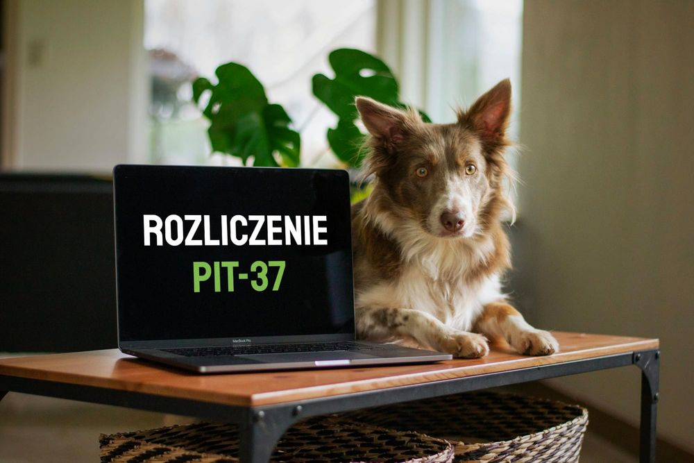 Rozliczenie PIT-37 w systemie e-PIT