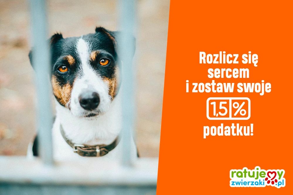 Przekaż swoje 1,5% podatku na czworonogi!